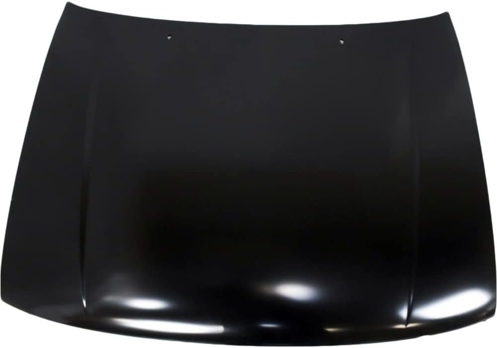 TACOMA HOOD 95-00 2/4WD