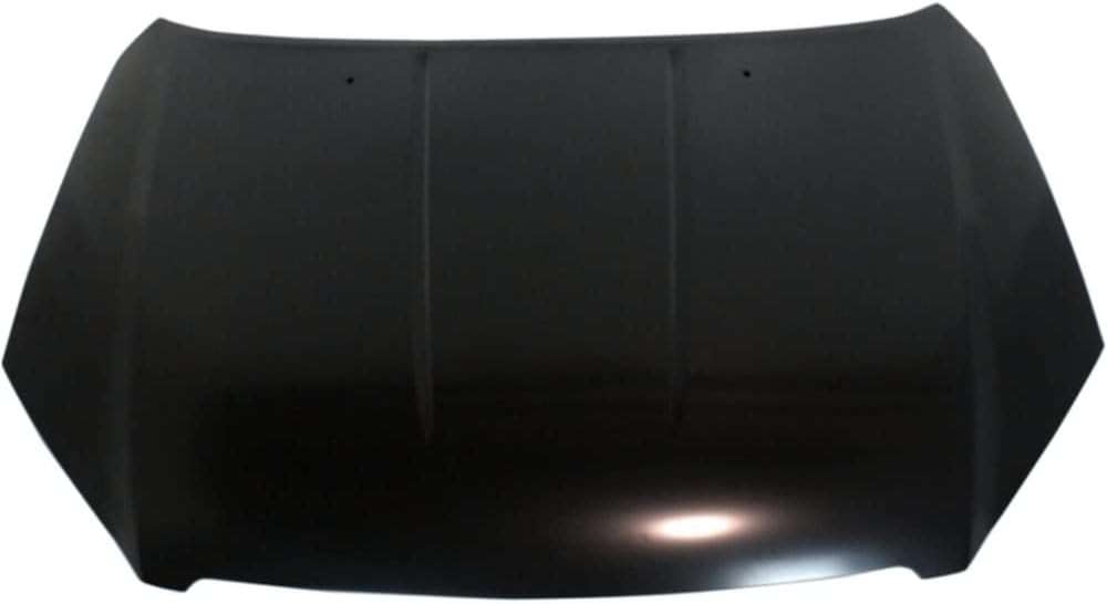 ALTIMA HOOD 05-06