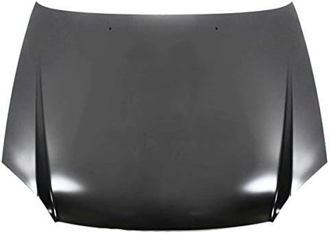 ACCENT HOOD 03-05 BRIO