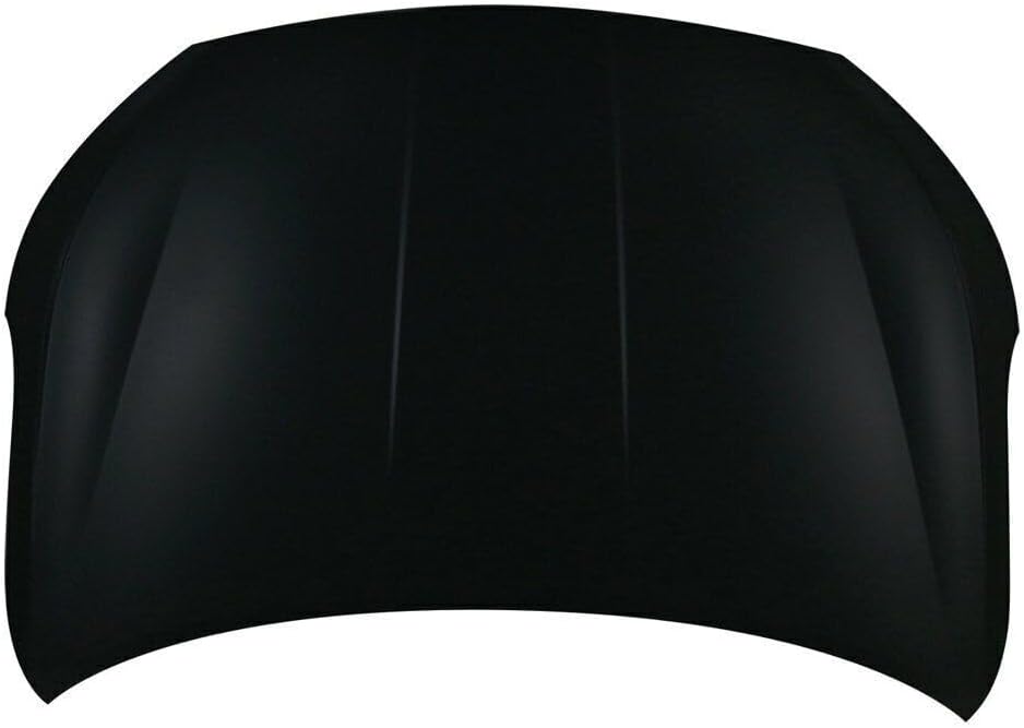 ELANTRA HOOD 19-20