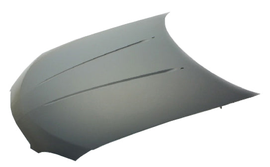 SENTRA HOOD 04-06