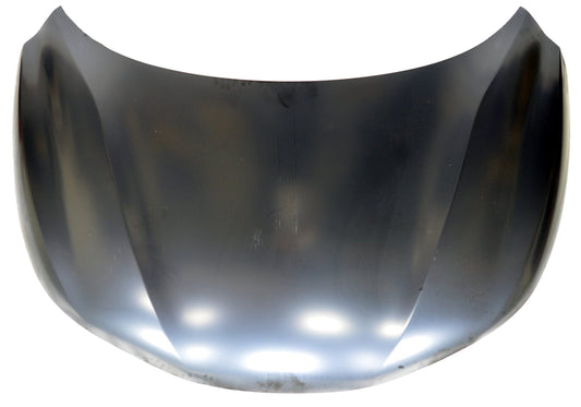ROGUE SPORT HOOD 17-19